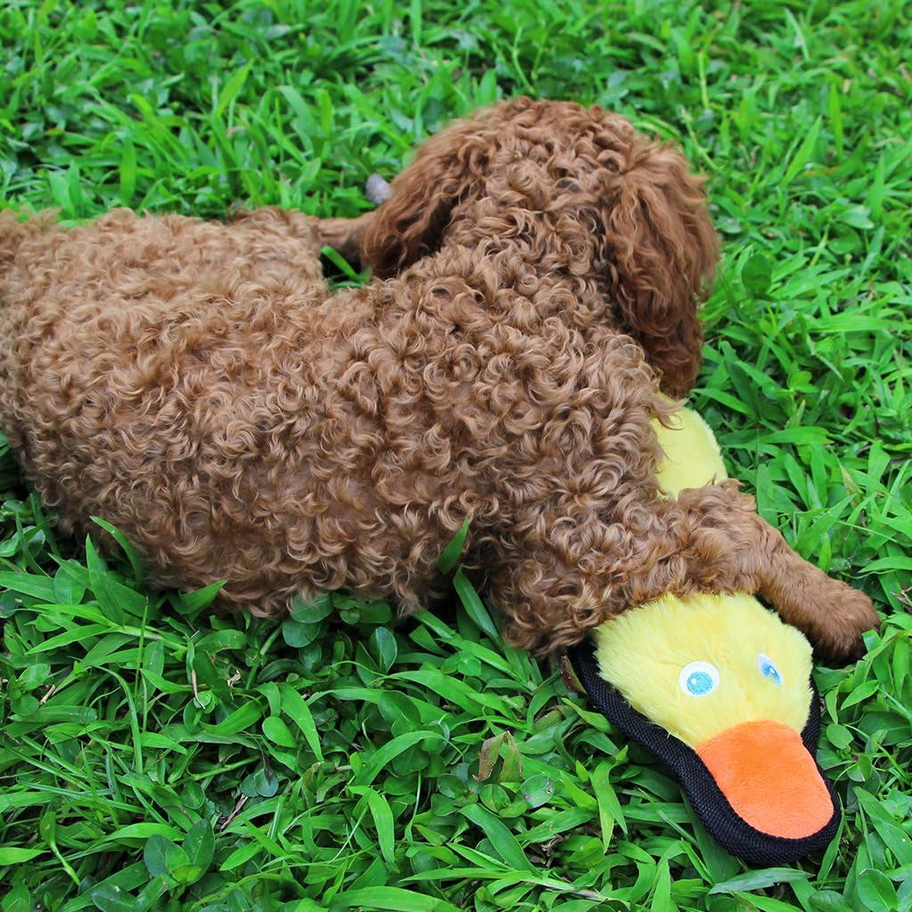 Duck Dog Toy, Squeaky Dog Toys, Plush Dog Toys for Small Medium Large Dogs to Keep Them Busy, Stuffed Puppy Toys, Interactive Dog Toys for Aggressive Chewers