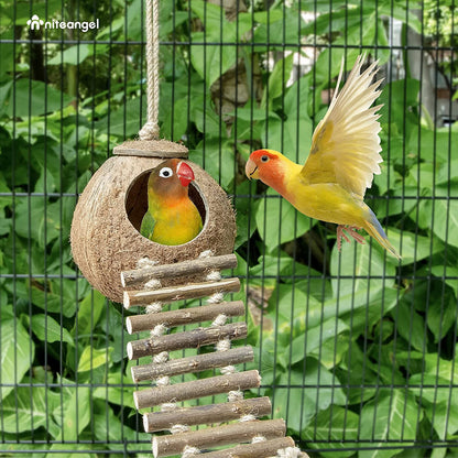 Natural Coconut Hideaway with Ladder, Bird and Small Animal Toy (House with Ladder, Natural Surface)