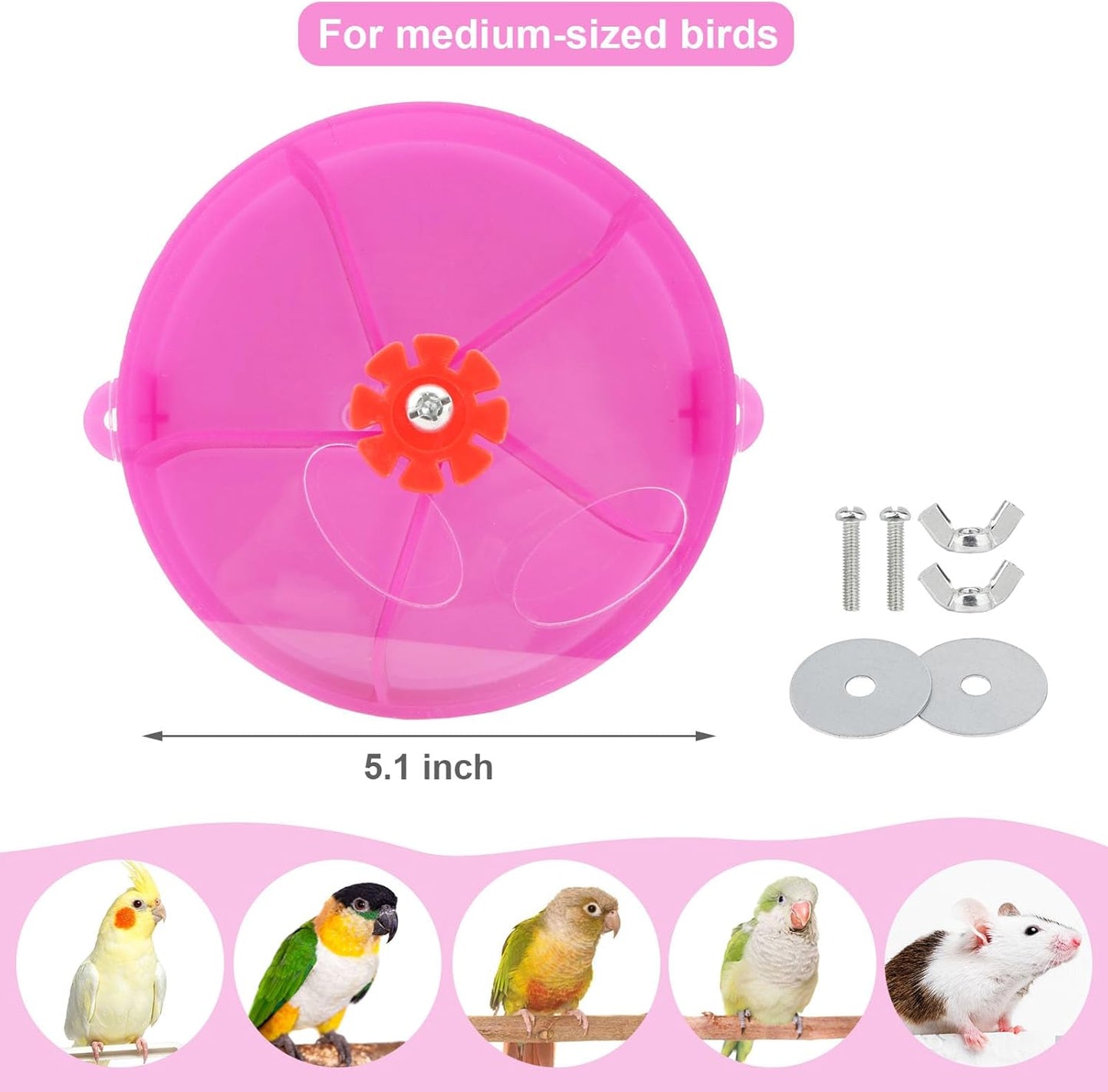 Bird Creative Foraging System Wheel Seed Food Ball Rotate Training Toy for Small and Medium Parrots Parakeet Cockatiel Conure (Purple)