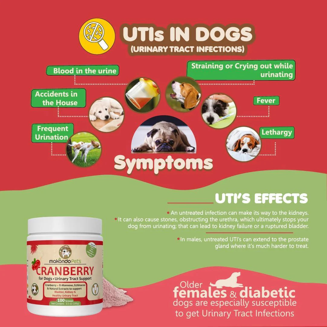 Dog Cranberry Supplement Natural Dog UTI Treatment & Kidney Support for Dogs.