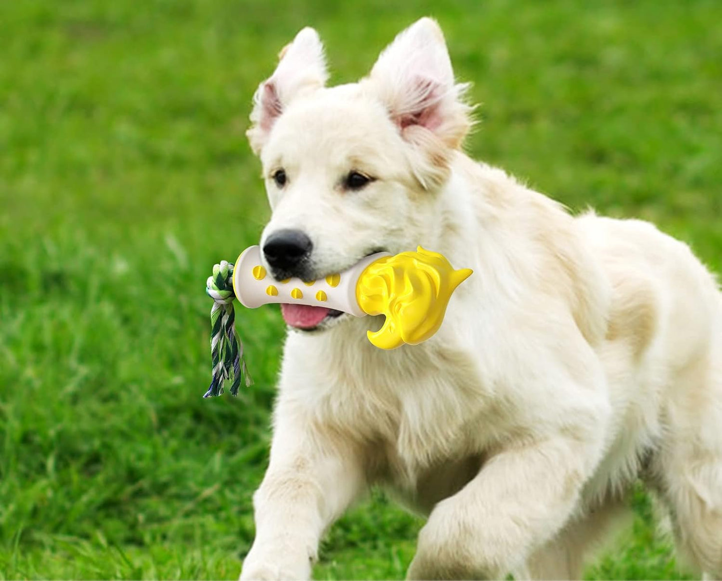 Dog Dental Chew Toys for Aggressive Chewers,Hawkish Scepter Pet Teeth Training Stick Teeth Cleaning with Dog Bite Rope Puppy Rubber Bone Toothbrush (Yellow)