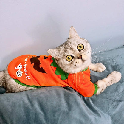 Dog Halloween Shirt Pet Pumpkin Costumes Pet Clothes Funny T-Shirt for Small Dogs and Cats Halloween Cosplay Holiday Festival Party