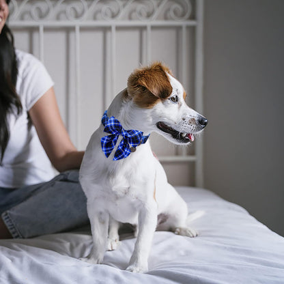 Dog Collar with Bow Tie, Cotton Dog Bowtie Collar for Medium Girl Boy Dog, Blue Bowtie Dog Collar with Durable Metal Buckle, Holiday Plaid Dog Collar, M