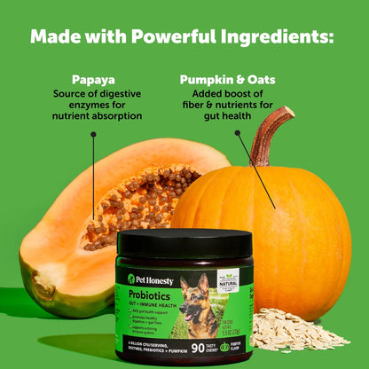 Digestive Probiotics Chews (90 Count - Pumpkin Flavor) 20.00% off Auto Renew