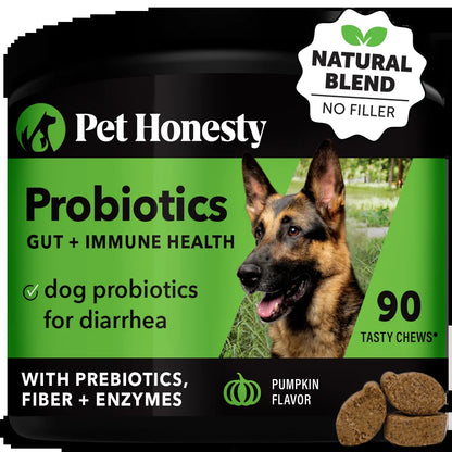 Digestive Probiotics Chews (90 Count - Pumpkin Flavor) 20.00% off Auto Renew