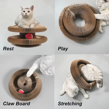 Creative Cat Scratching Board Pet Supplies Grinding Claw Board Rolling Ball Cat Scratching Toy Foldable Magic Organ Design