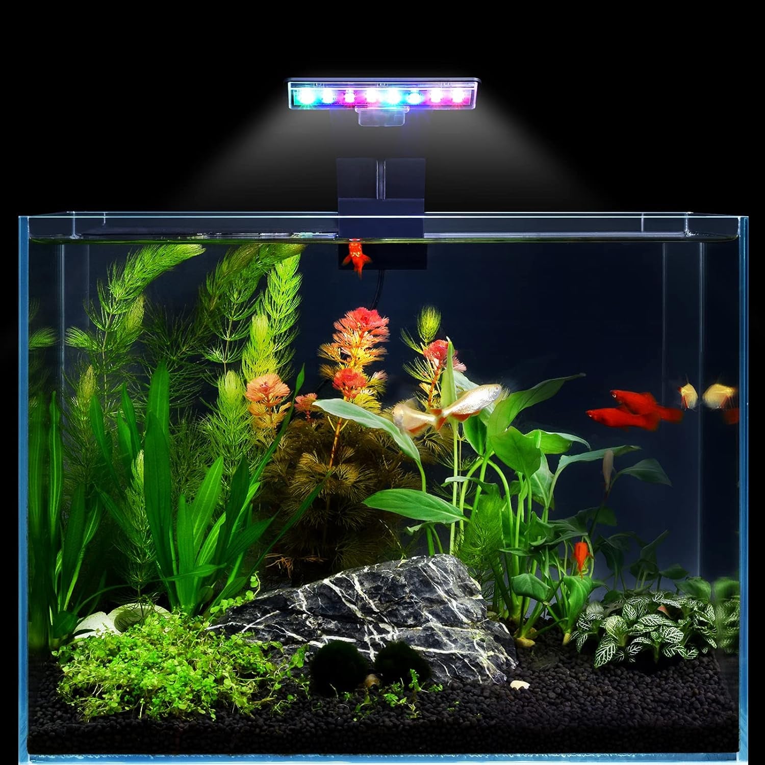 LED Aquarium Light Three-Mode Adjustable Fish Tank Lights 5W 16 LED Planted Aquarium Light Clip Lamp 550LM for 0.24 Inch Thickness 12 Inch Fish Tank