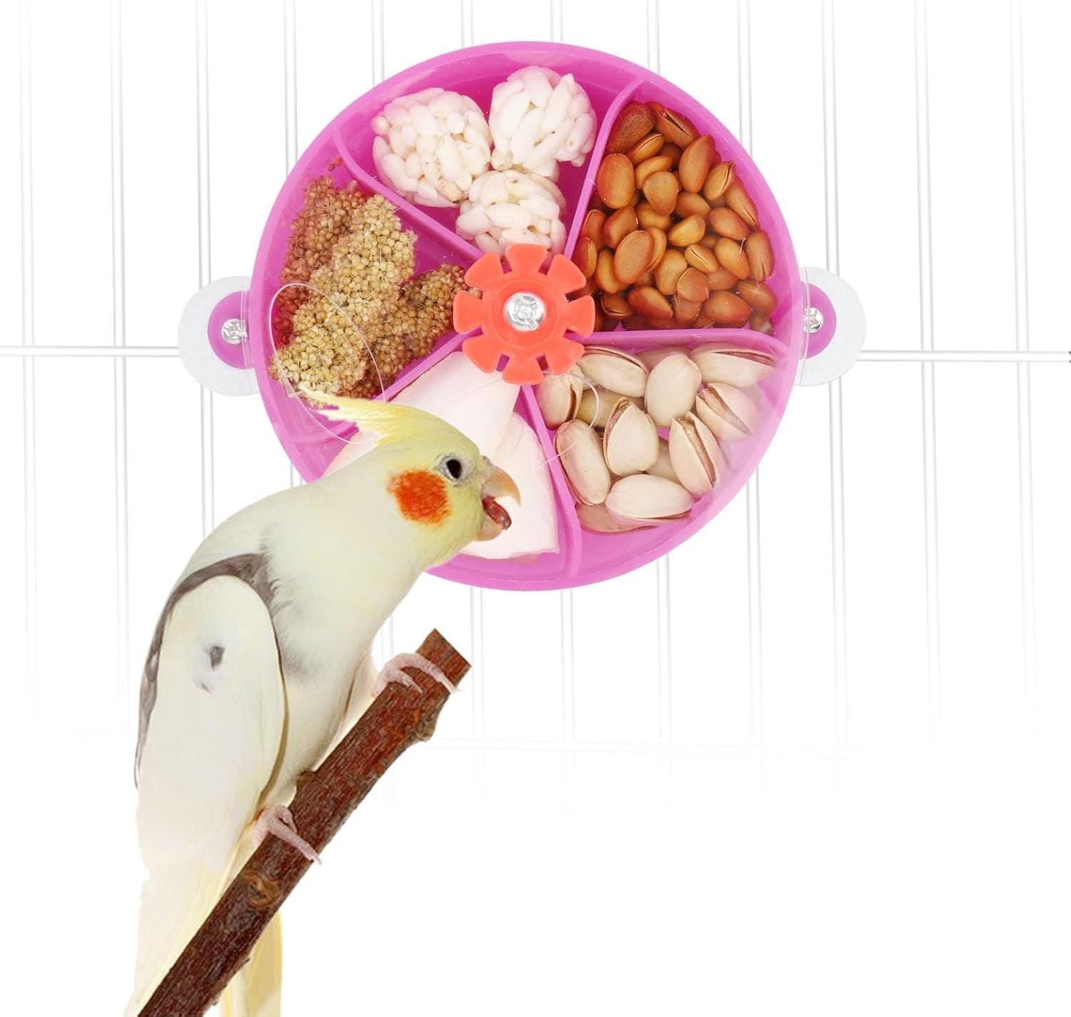 Bird Creative Foraging System Wheel Seed Food Ball Rotate Training Toy for Small and Medium Parrots Parakeet Cockatiel Conure (Purple)