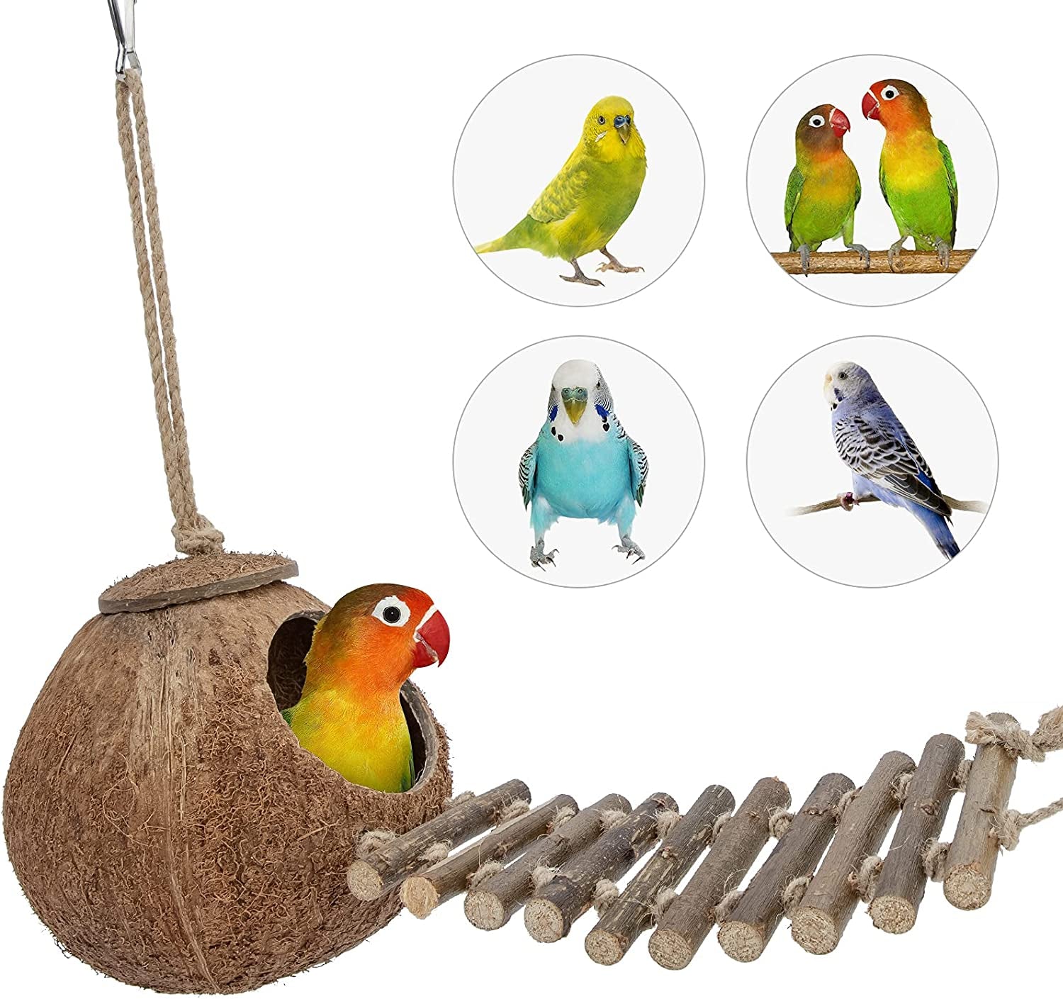 Natural Coconut Hideaway with Ladder, Bird and Small Animal Toy (House with Ladder, Natural Surface)