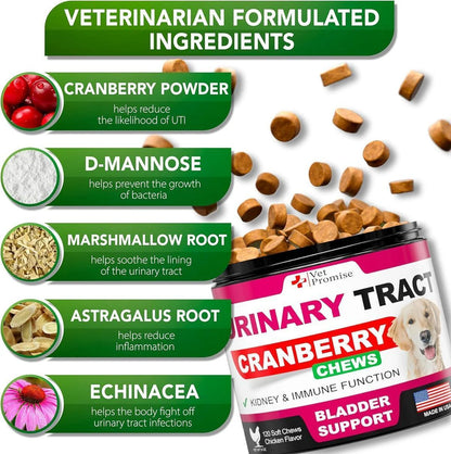 Dog UTI Treatment Cranberry Supplement for Dogs UTI Bladder Control 120 Chews